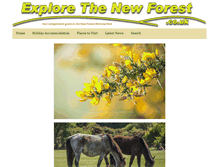 Tablet Screenshot of explorethenewforest.co.uk